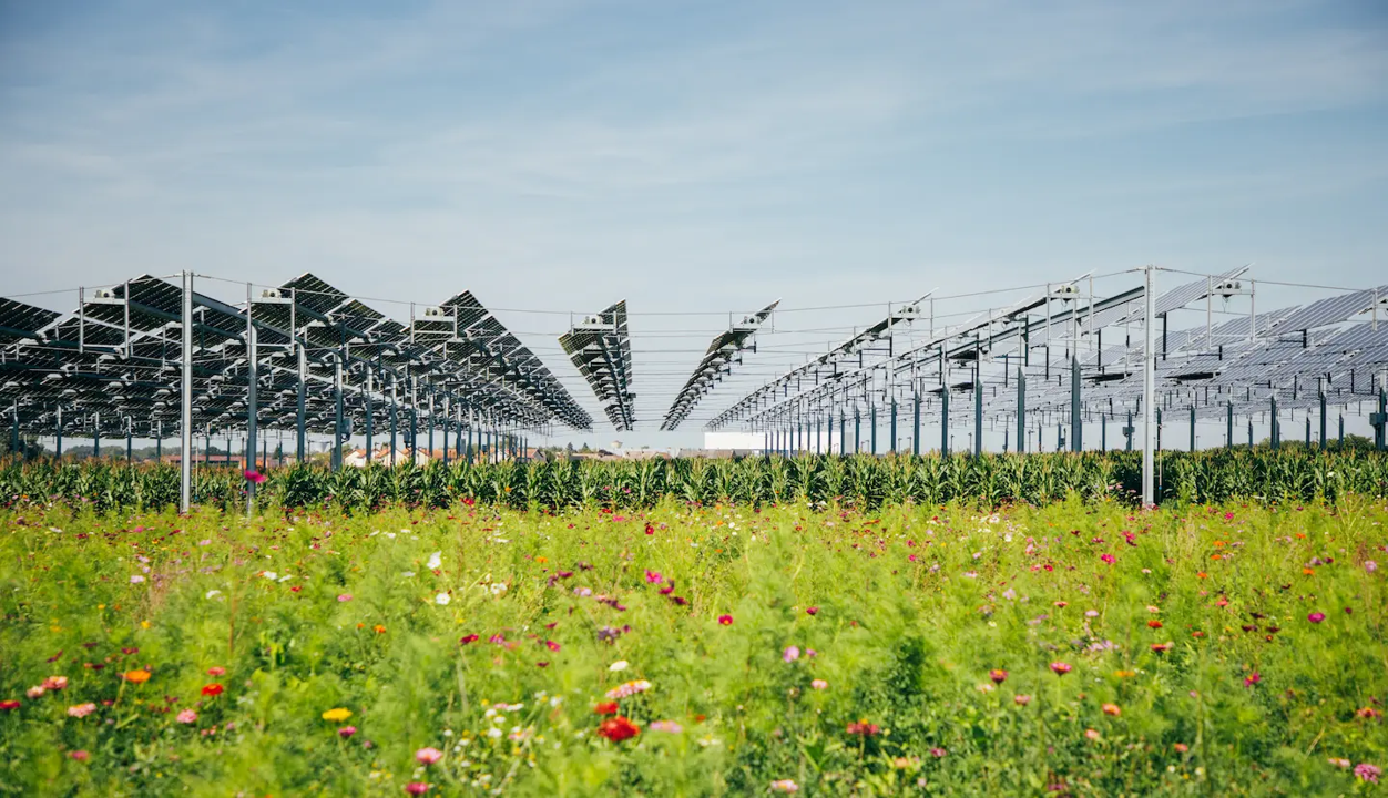 Tenso-structures Agrivoltaïsme