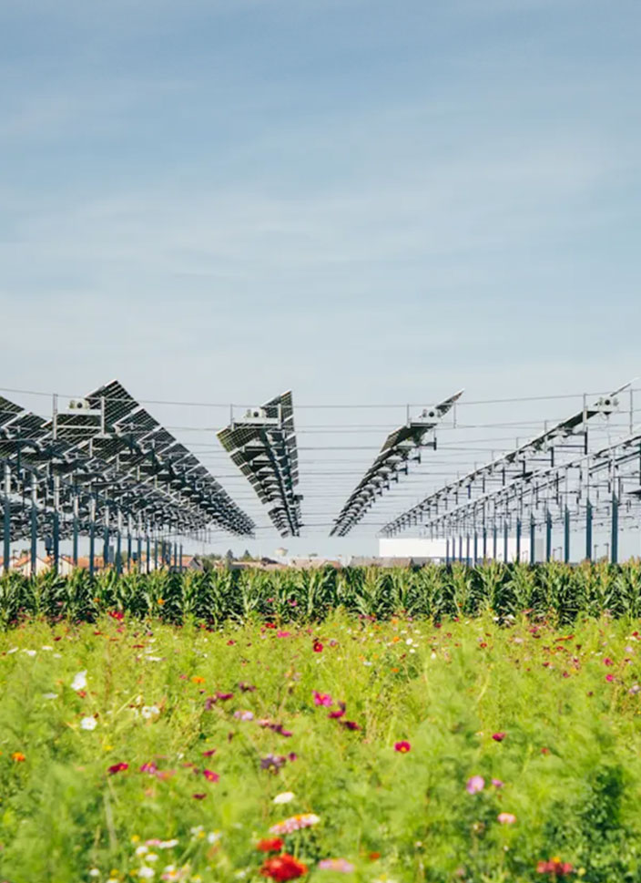 Tenso-structures Ouvrages d’art